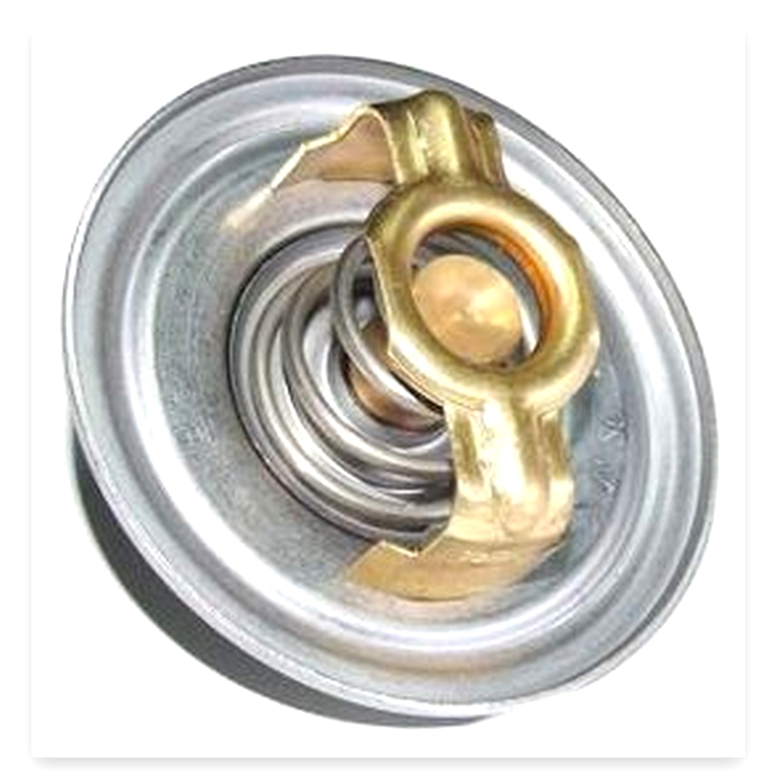 1c3e8865f7ed128662f8b2ed2926c426.jpg Termostat Bizon silnik SW400 TV- polski Mera